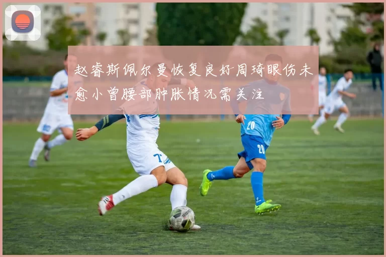 赵睿斯佩尔曼恢复良好周琦眼伤未愈小曾腰部肿胀情况需关注